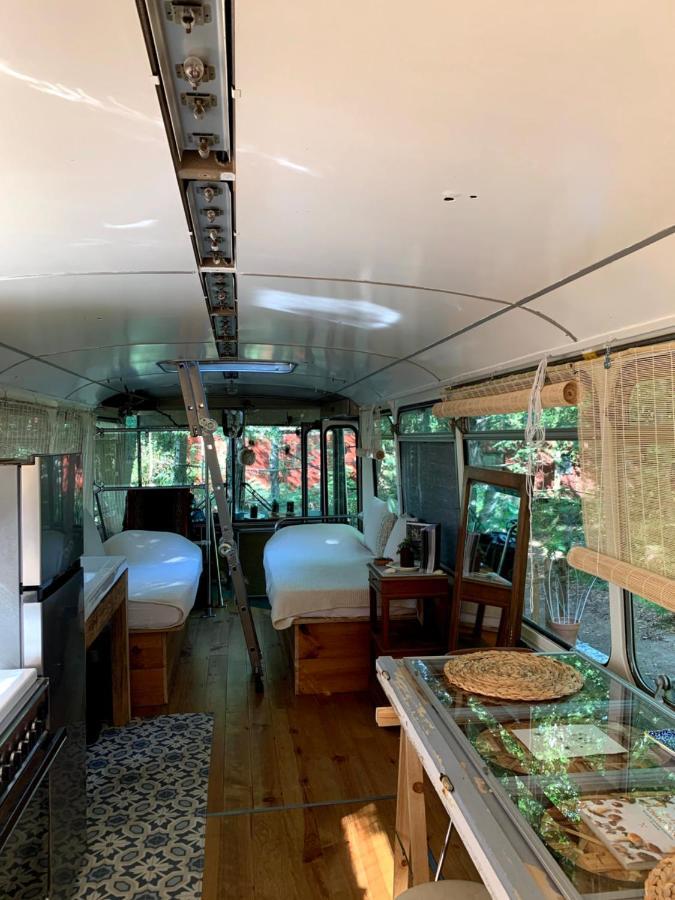 Magic Roof Top Bus With Big Bath In The Tree Forest! Mimizan-Plage Exterior foto