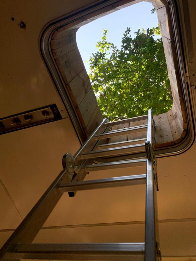 Magic Roof Top Bus With Big Bath In The Tree Forest! Mimizan-Plage Exterior foto