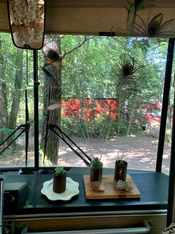 Magic Roof Top Bus With Big Bath In The Tree Forest! Mimizan-Plage Exterior foto